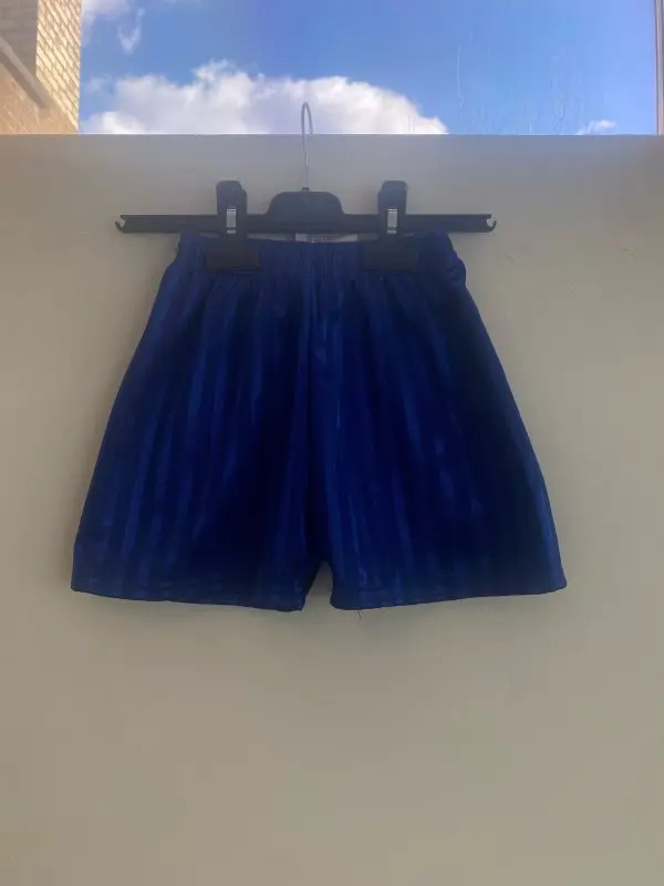 PRE LOVED DL SHADOW STRIPED SHORTS - ROYAL
