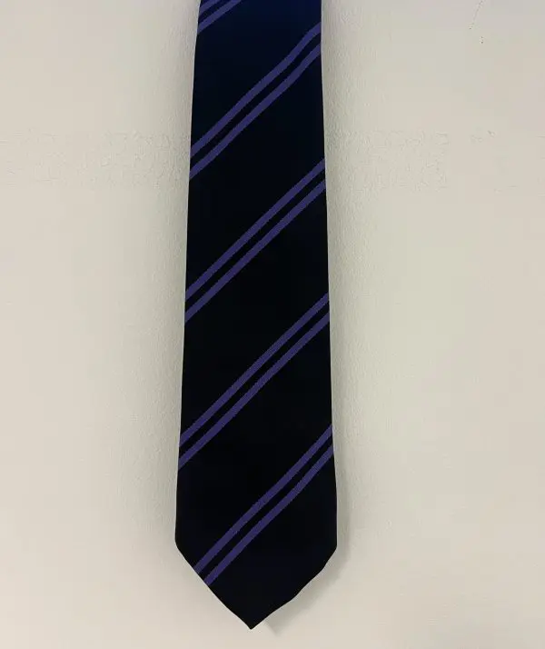 PRE LOVED SOUTHGATE SCHOOL TIE - PURPLE
