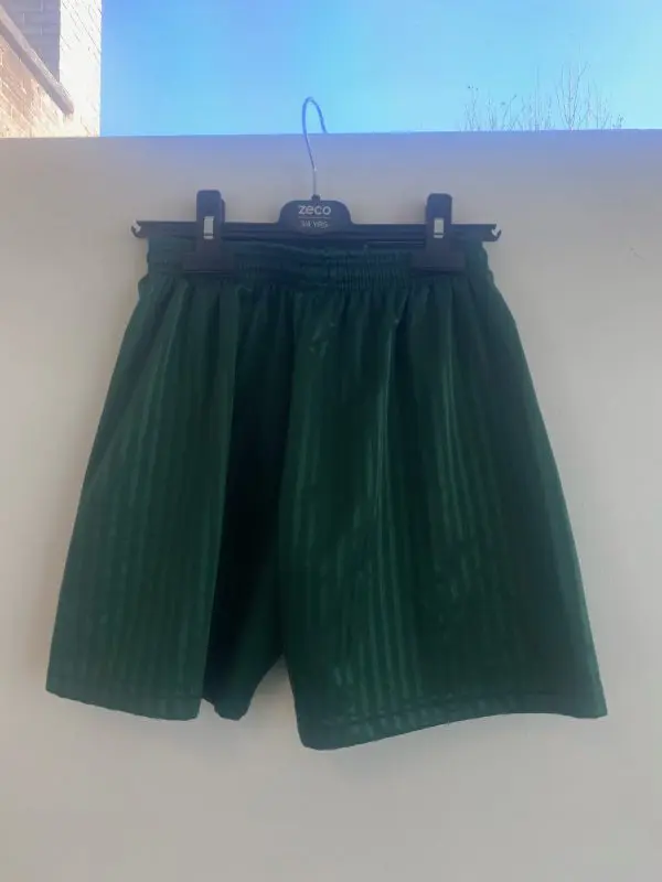 PRE LOVED DL SHADOW STRIPED SHORTS - BOTTLE